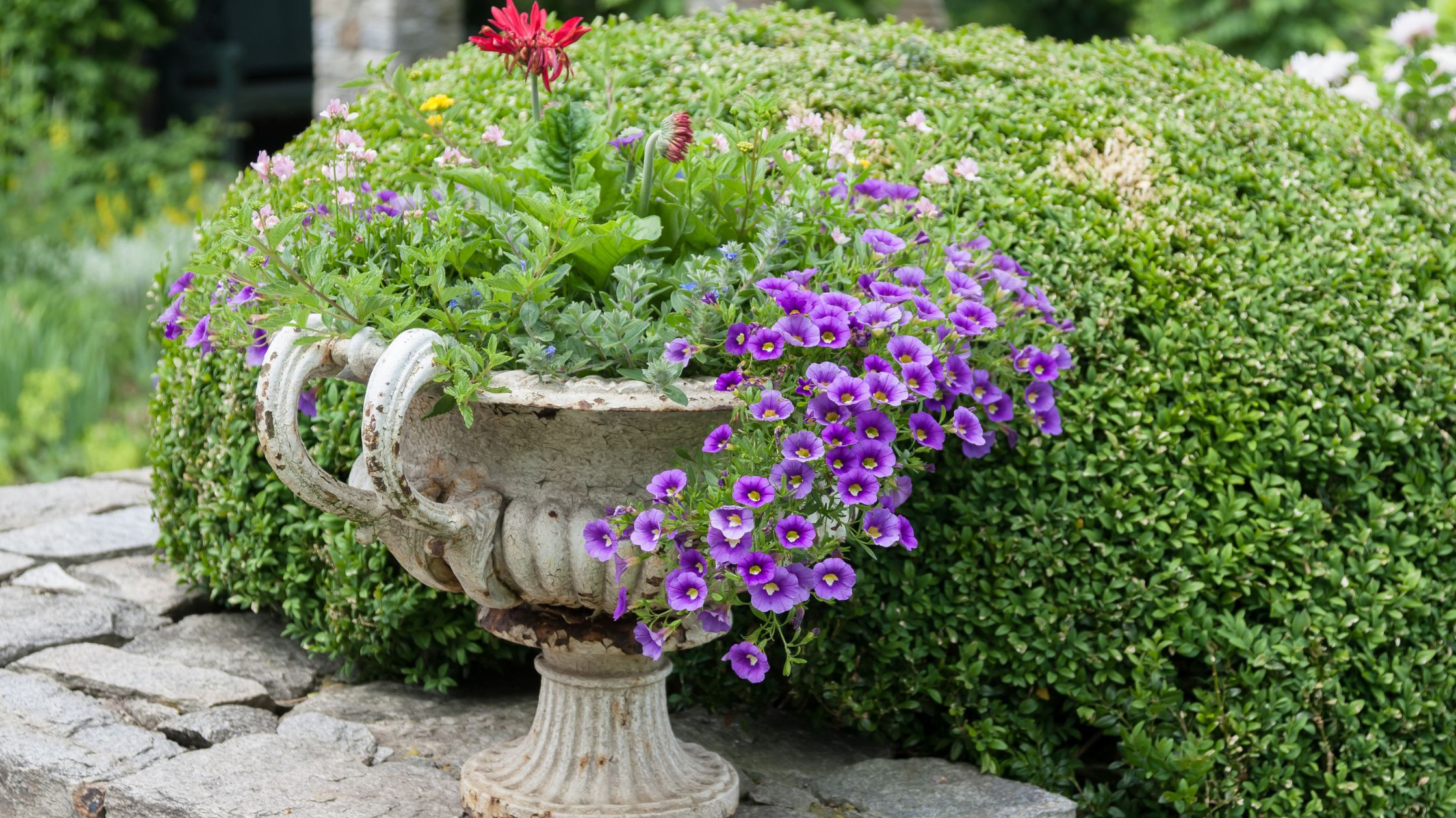 Outdoor Urns for Plants